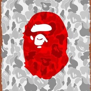 Meet your Posher, Bruce